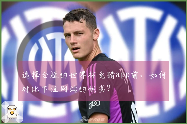 选择合适的世界杯竞猜app前，如何对比下注网站的优劣？