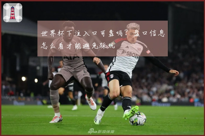 世界杯下注入口可靠吗？盘口信息怎么看才能避免踩坑